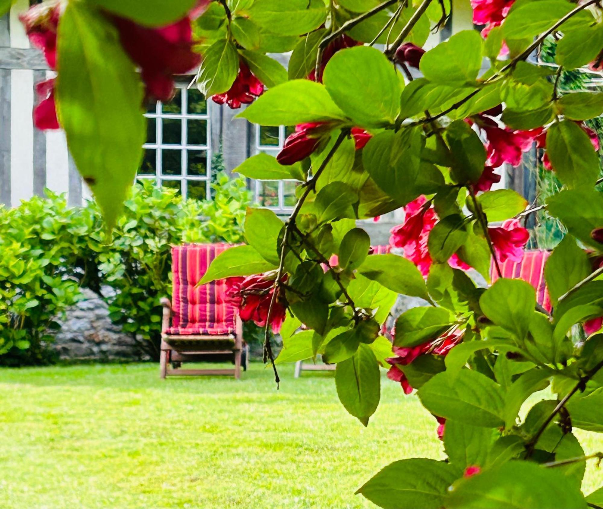 Les Hortensias Manerbe Exterior photo