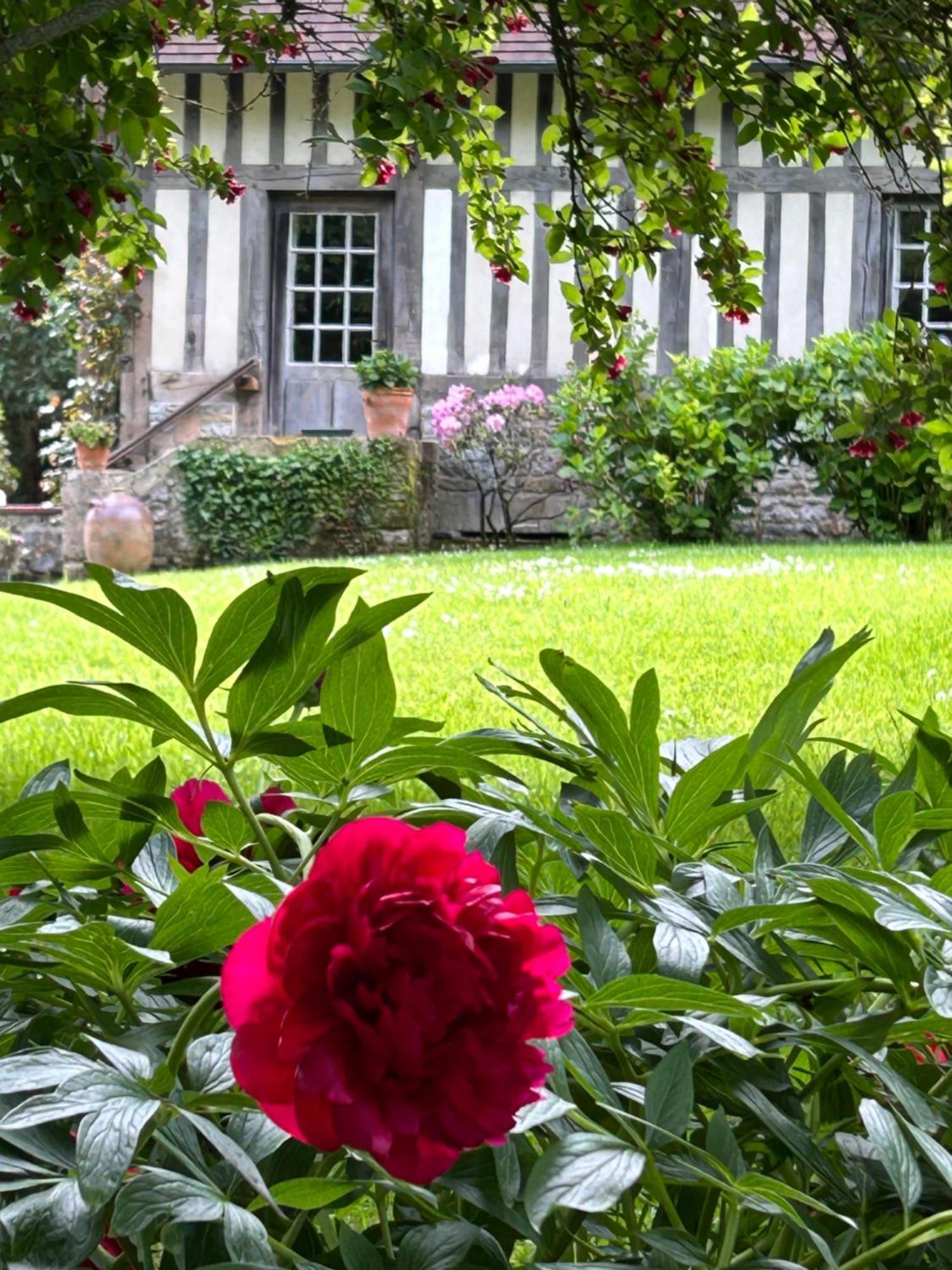 Les Hortensias Manerbe Exterior photo